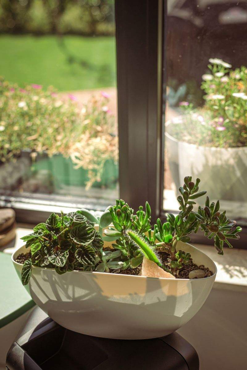 趣味の楽園株式会社 - Image 2