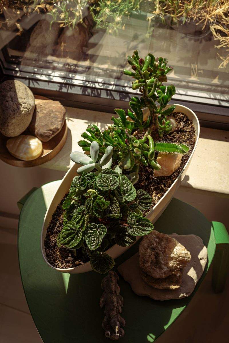 陶芸ワークショップ